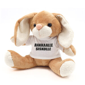 Soft toy Bunny with your own picture or text
